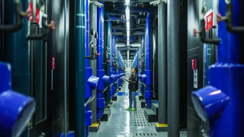 算力基建浪潮下的投资机遇与区域实践——以温州网络技术服务为例